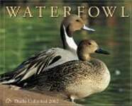 Waterfowl 2002 Calendar
