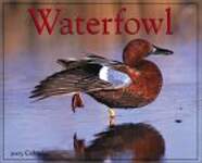 Waterfowl 2003 Calendar