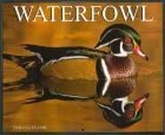 Waterfowl 2004 Calendar