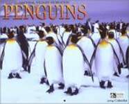Penguins 2004 Calendar