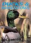 Ducks  Waterfowl: A Portrait of the Animal World