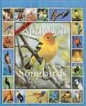 Audubon 365 Songbirds 2002 Calendar