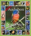 Audubon Songbirds  Other Backyard Birds 2006 Calendar: A Picture-A-Day