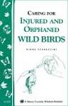 Helping Orphaned or Injured Wild Birds