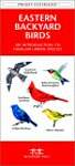 Eastern Backyard Birds: A Folding Pocket Guide to Familiar Urban Species
