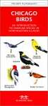 Chicago Birds: A Folding Pocket Guide to Familiar Species