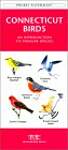 Connecticut Birds: A Folding Pocket Guide to Familiar Species