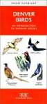 Denver Birds: A Folding Pocket Guide to Familiar Species