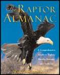 The Raptor Almanac: A Comprehensive Guide to Eagles, Hawks, and Falcons