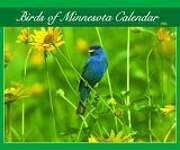 Birds Of Minnesota 2006 Calendar