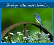 Birds Of Wisconsin 2006 Calendar