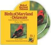 Birds of Maryland  Delaware: Includes Washington, D.C.  Chesapeake Bay