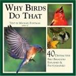 Why Birds Do That: 40 Distinctive Bird Behaviors Explained  Photographed