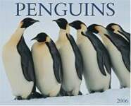 Penguins 2006 Calendar
