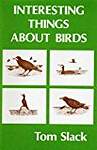 Interesting Things About Birds