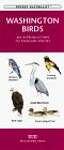 Washington Birds: An Introduction to Familiar Species