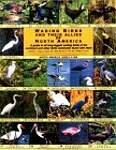 Wading Birds and Their Allies of North America
