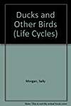 Ducks and Other Birds (Morgan, Sally. Life Cycles.)
