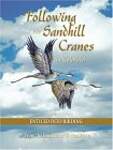 Following The Sandhill Cranes In Colorado: Enticed Into Birding