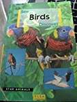 Birds: Animal Pocket Guide