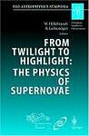 From Twilight to Highlight: The Physics of Supernovae : Proceedings of the Eso/Mpa/Mpe Workshop Held at Garching, Germany, 29-31 July 2002