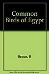 Common Birds of Egypt