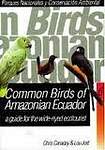 Common Birds Of Amazonian